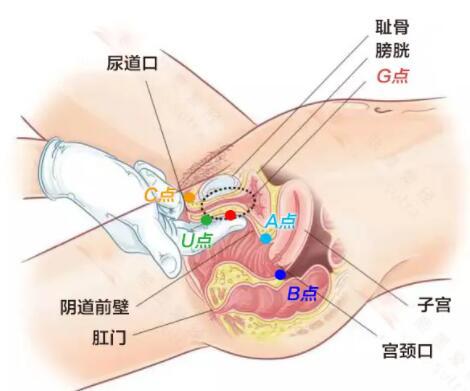 怎么变得很会夹,怎么让自己变紧一点