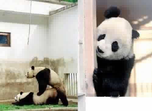 为什么男人都喜欢从后面来