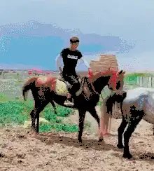 为什么男人都喜欢从后面来