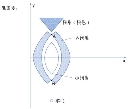 女生下面长什么样儿,女生私处实拍