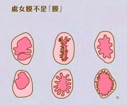 女生下面长什么样儿,女生私处实拍