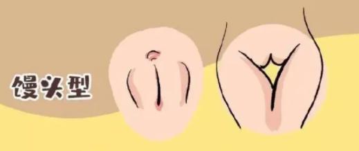 女生下面长什么样儿,女生私处实拍