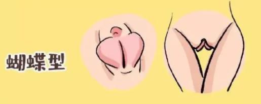 女生下面长什么样儿,女生私处实拍