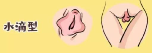 女生下面长什么样儿,女生私处实拍