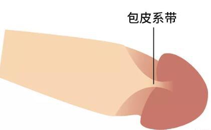 男的怎么鉴定是不是处，科学的方式竟然是这样！