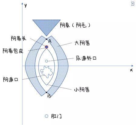 男的怎么鉴定是不是处，科学的方式竟然是这样！
