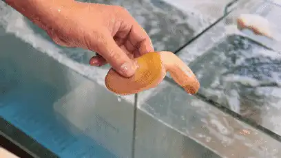 怎么判断自己敏感度过高，太敏感了怎么办怎么调理好一点