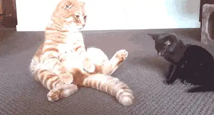 每天早上晨勃涨的难受怎么办？早上晨勃能不能做