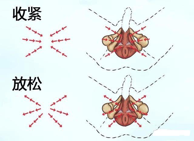 提高性功能的方法有哪些