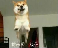 女生为什么喜欢叫男生㖭自己,给别人㖭也很快乐正常吗