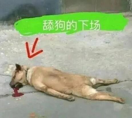 女生为什么喜欢叫男生㖭自己,给别人㖭也很快乐正常吗