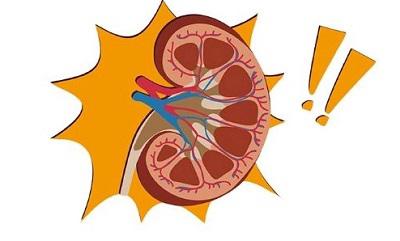 得了肾病能治好吗能治愈吗