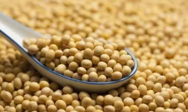 中年人怎么补钙最好