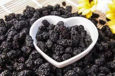 干桑葚泡水喝有什么好处、功效和作用