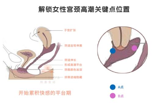 5个靠谱的增大丁丁的方法,让她爽到宫颈高潮