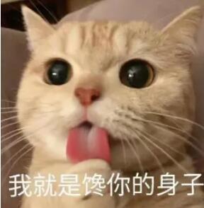 女朋友技术好是什么感觉