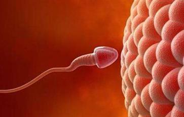 男人精量少?你可能忽略了这3个祸根!