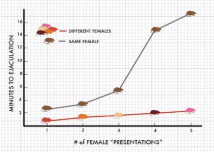 男生好色的本质原因是什么,为什么男人更好色呢