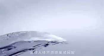 杰士邦零感003玻尿酸避孕套怎么样,和超薄比哪个好