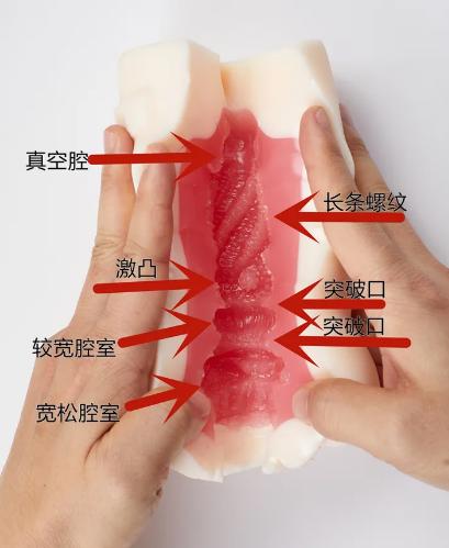 npg到底选择哪个好,新手Npg推荐K03-天海翼