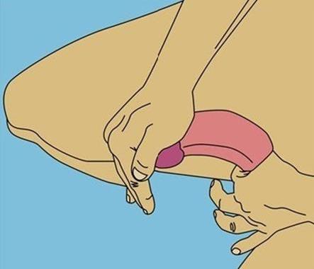 阿拉伯挤奶训练法图解