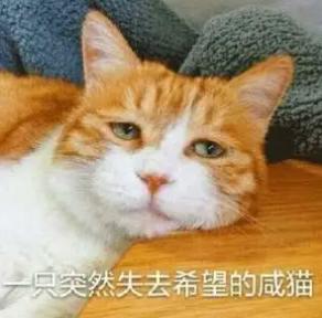 女生失去第一次后变得很焦虑怎么办