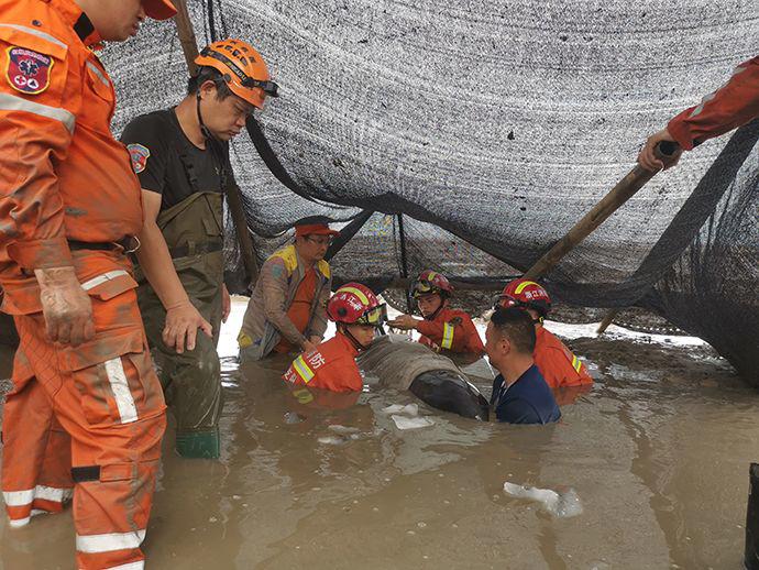3头搁浅死亡瓜头鲸已被冷冻保存