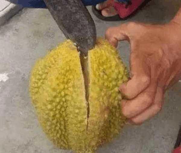 广东8箱进口榴莲阳性 已流向市场