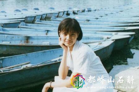 为什么说高圆圆是炮架