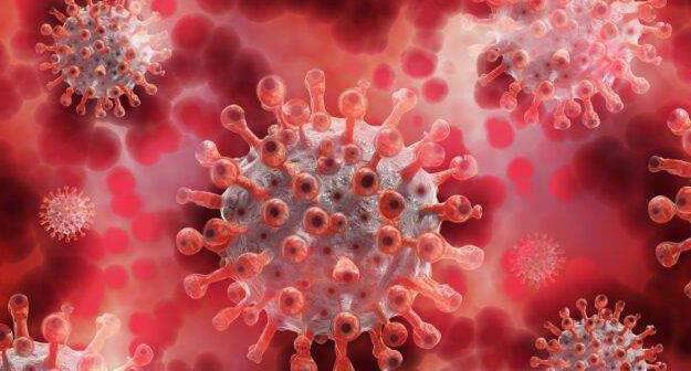 广州新发现2例阳性病例传播可能性大