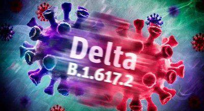 国产疫苗对Delta有用吗?钟南山回应