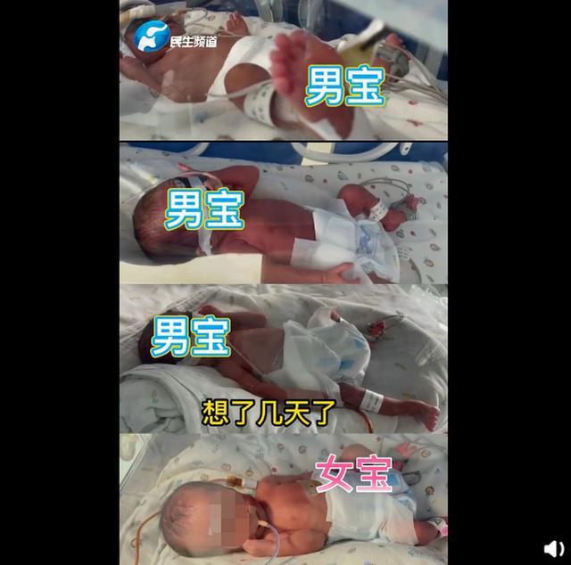 新乡一产妇第三胎生下龙凤四胞胎