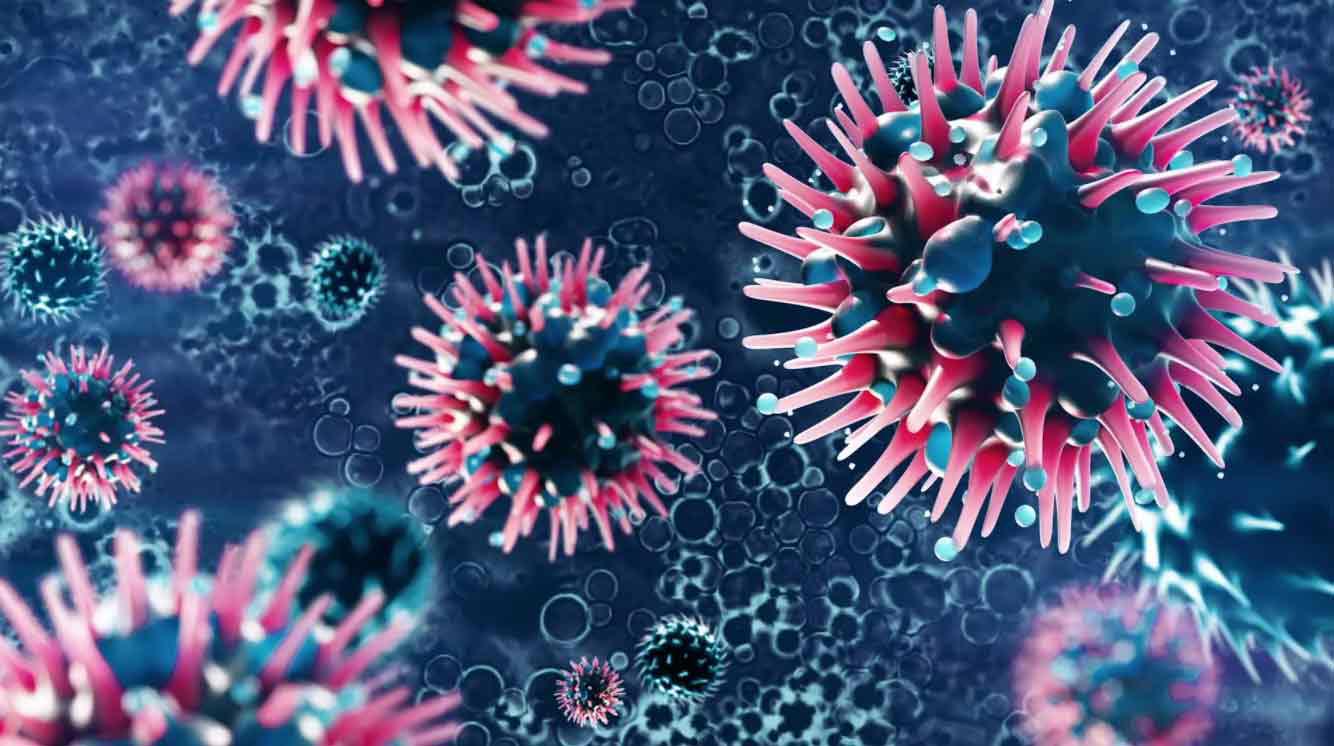 2023年有没有丧尸病毒爆发