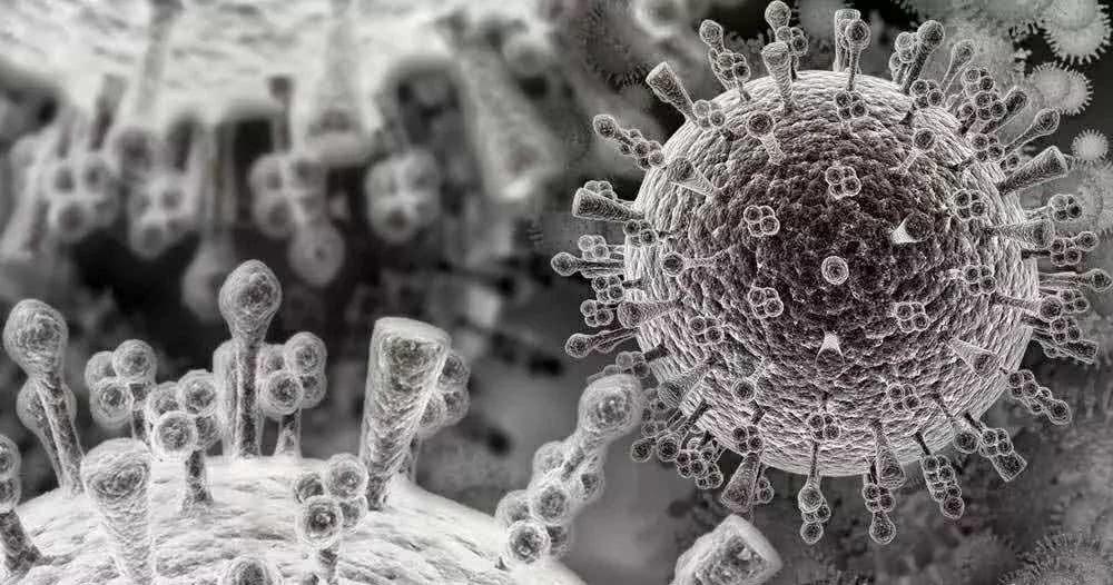 宁波舟山港1名作业人员核酸阳性