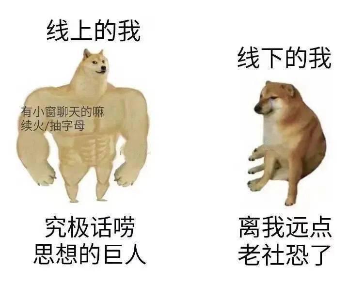 社交牛杂症什么意思网络语言