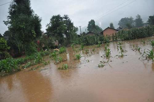 水灾之后必有大疫吗