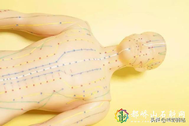 带脉的位置在哪里图解【带脉的位置与作用和功效】