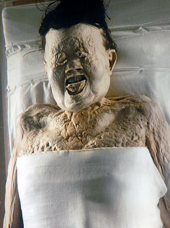 长沙马王堆汉墓不腐女尸