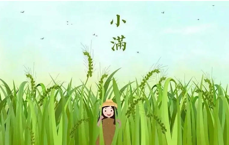 2022小满吃什么传统美食