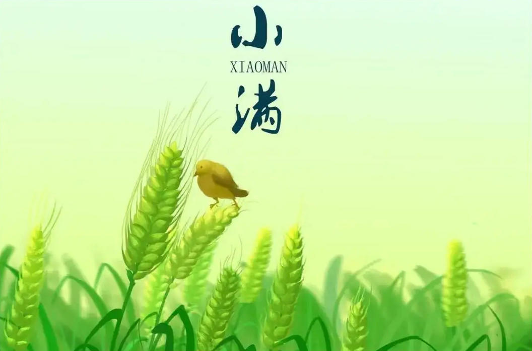 2022小满吃什么传统美食