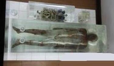 15件事让你怀疑世界