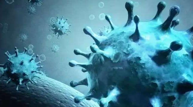 成都病例1基因测序为奥密克戎病例变异株