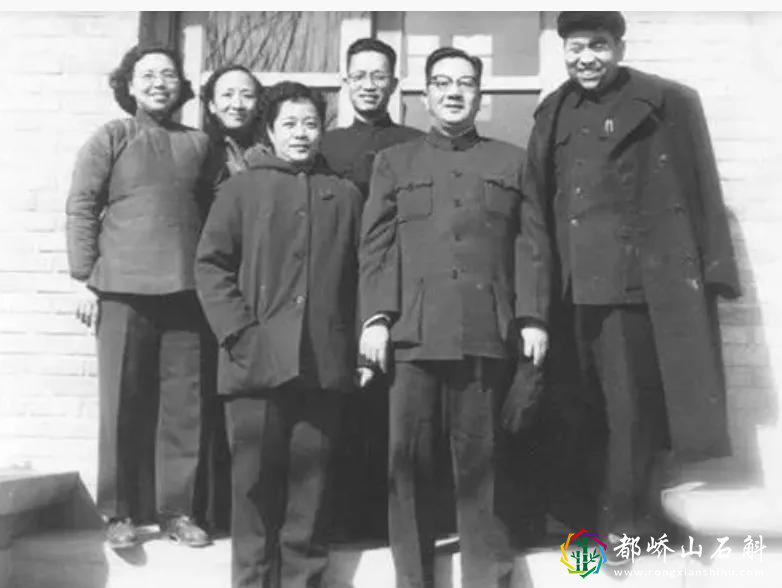 中福集团原型是谁