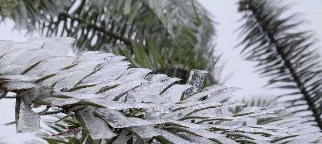 广东人要被冻哭了