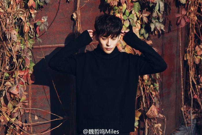 魏哲鸣老婆王岚离婚原因 和朱星杰承认恋情怎么回事