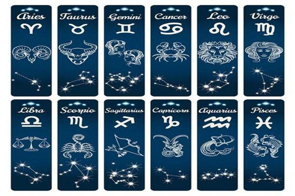12星座的本命花是什么 水瓶座的本命花是什么花