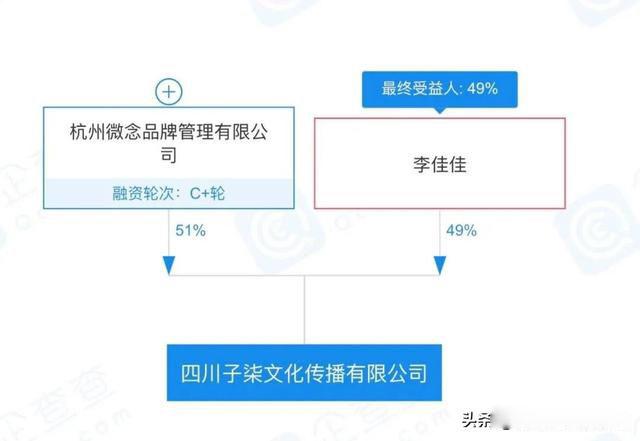 李子柒事件是怎么回事 究竟是什么情况