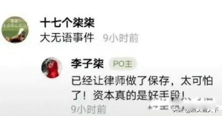 李子柒事件是怎么回事 究竟是什么情况