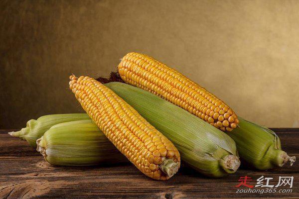 玉米男孩恐怖原图 他到底得的是什么病