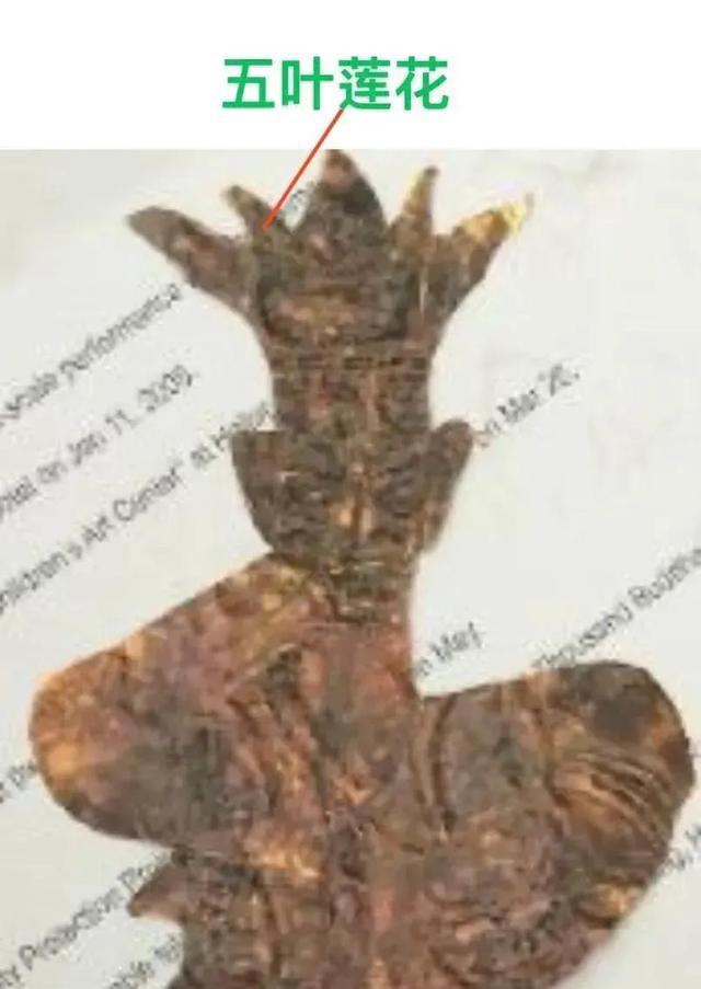 三星堆背后的恐怖资料 三星堆不敢公开的秘密有哪些